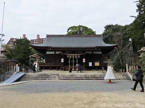 弓弦羽神社３拝殿.JPG