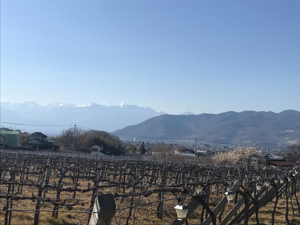 山梨100名山・大蔵経寺山（だいぞうきょうじやま）716m（1） | 醍醐山と下部（しもべ）温泉 - 楽天ブログ