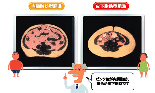 7.gif