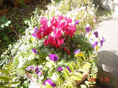 DSC00873.JPG