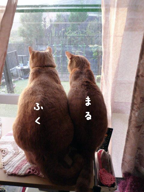 まだまだ