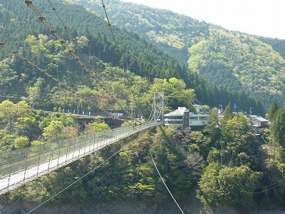 P1060452.jpg