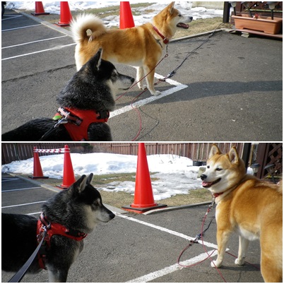 ハナさんとたいようさん