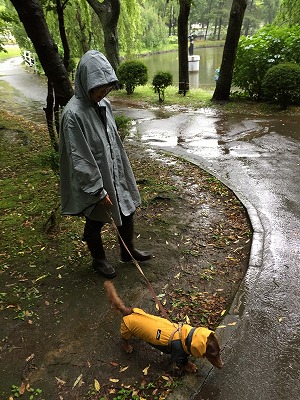 2015-07-21 17.48.49.jpg