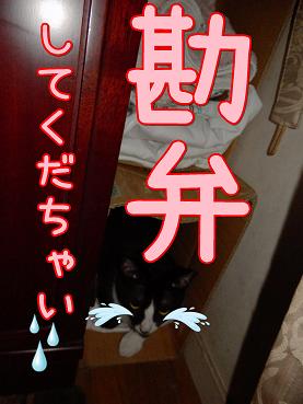 八勘弁.JPG