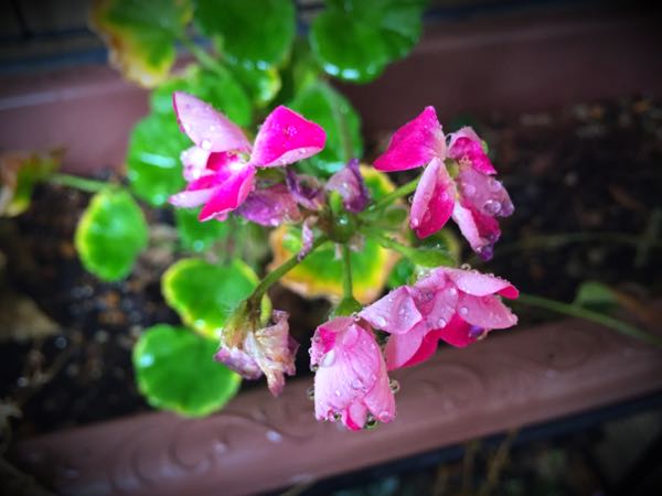 rblog-20150222132242-01.jpg
