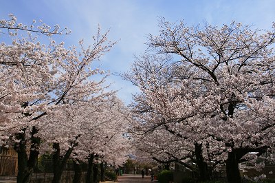 IMG_7104.jpg