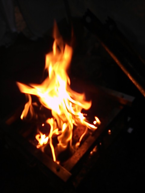 DSC_7262.JPG