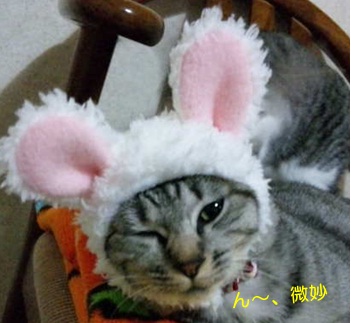 20120707_5.jpg
