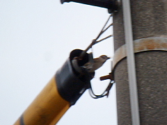 conv0357.JPG
