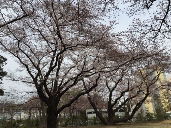 rblog-20160330131114-00.jpg