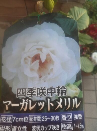 rblog-20140427205102-00.jpg