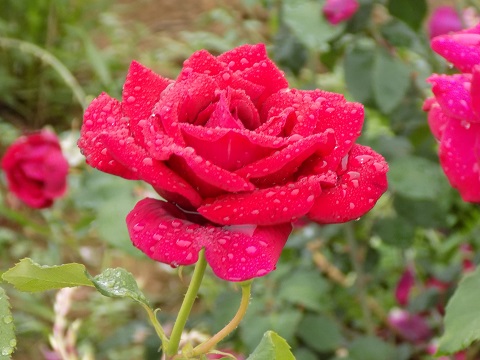 DSCN3895.JPG