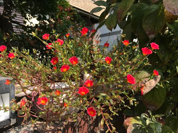 rblog-20170926173506-08.jpg