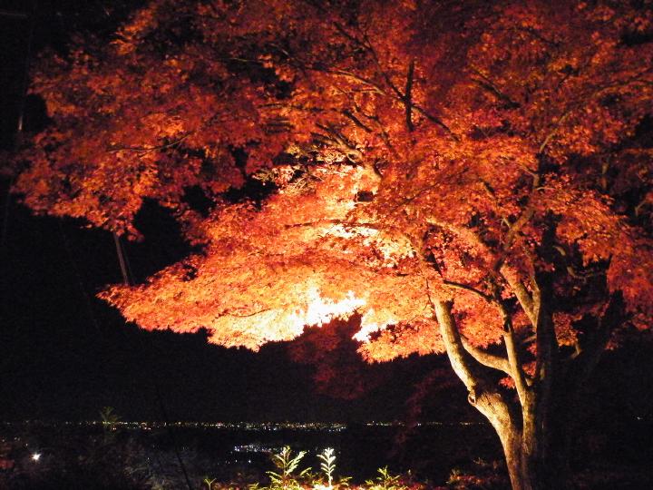 しが湖東d34西教寺.JPG