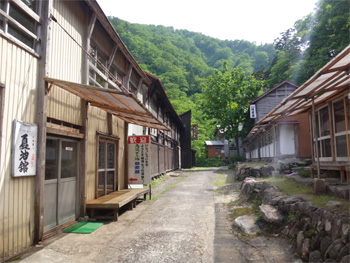 夏油10.jpg
