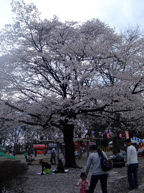 かしの森公園４