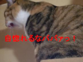 福うぬぼれるな.JPG