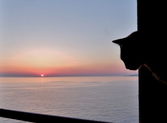 海　夕日　田舎暮らし