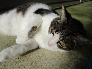 IMG_1594ss.jpg