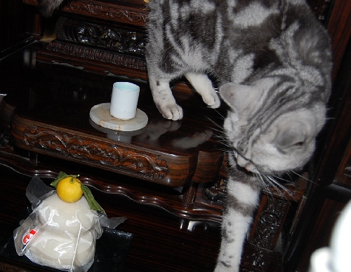 DSC_0012.JPG