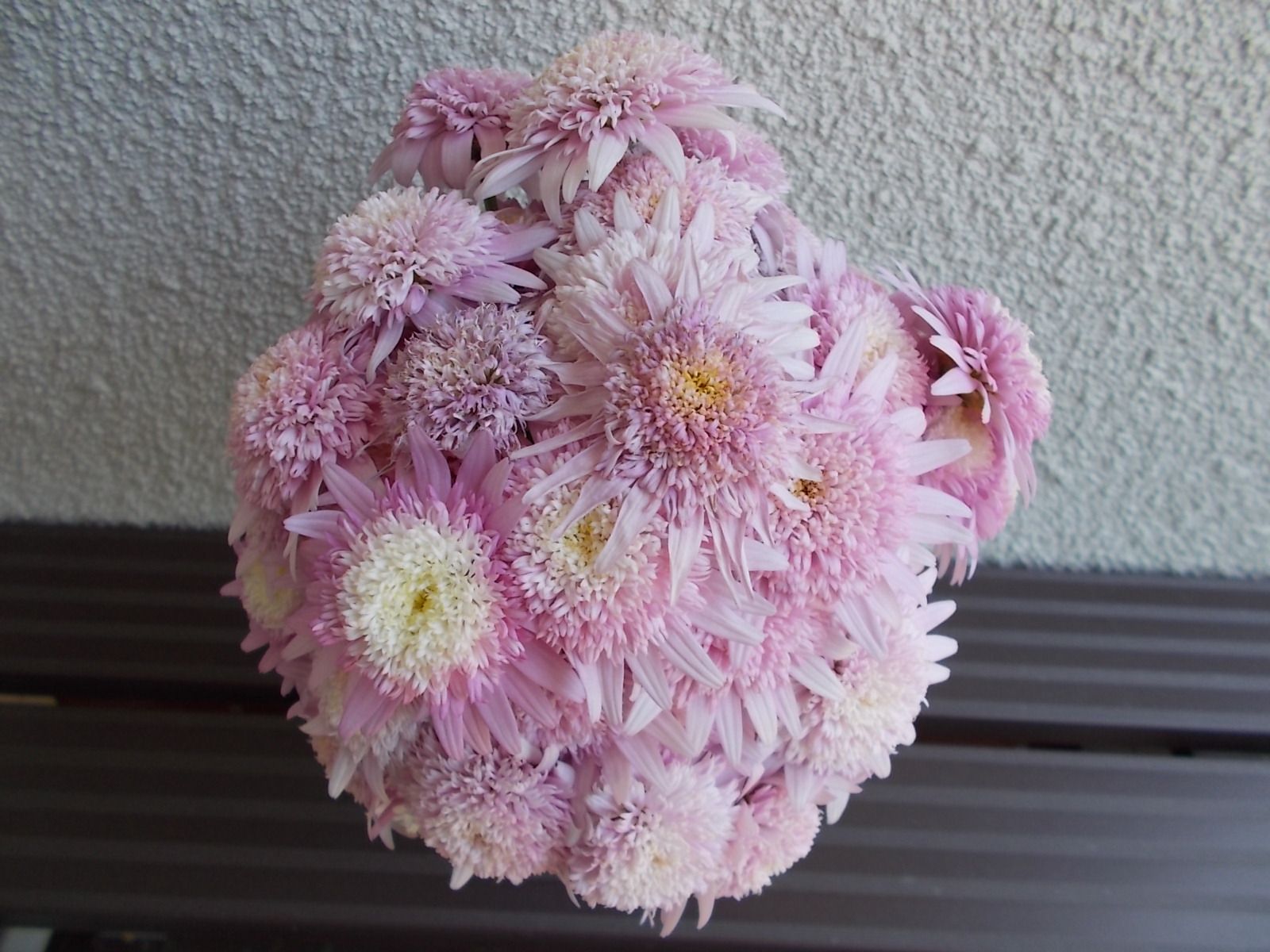 切り花にしたマーガレットの新発見 バラを咲かせることが好き 楽天ブログ