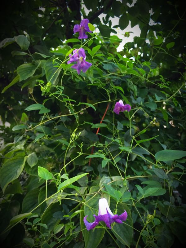 rblog-20160710211450-01.jpg