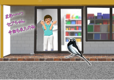 朝　来るセグちゃん.jpg