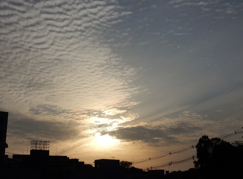 夕暮れ4.JPG