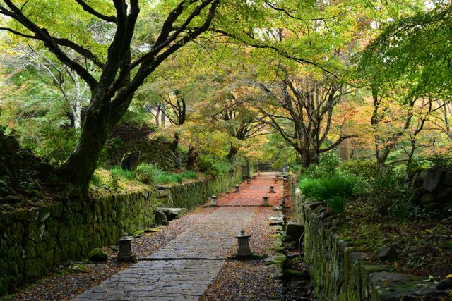 両子寺