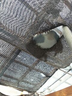 rblog-20140814091452-02.jpg