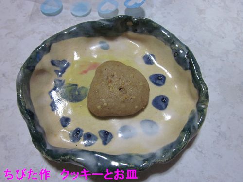 ちびた作　クッキーとお皿のコラボ.jpg