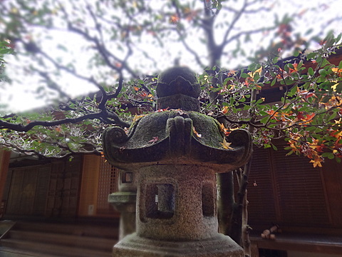 2012120238