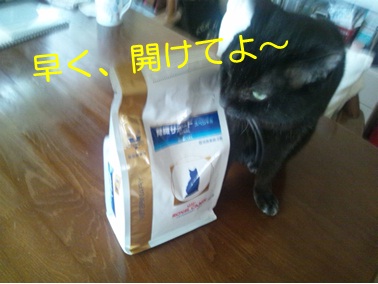 20120905_4.jpg