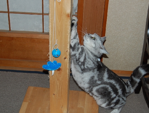 DSC_0040.JPG
