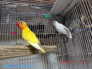 CIMG02353.jpg