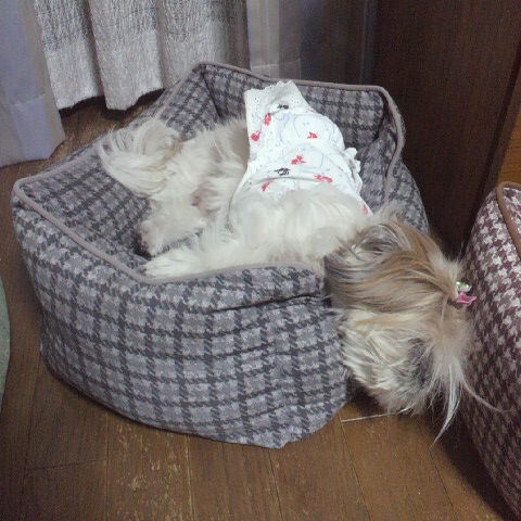 2013092619580000.jpg