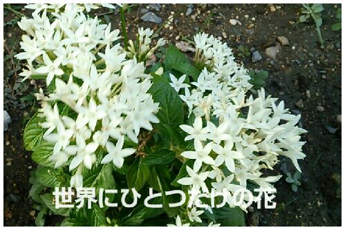 rblog-20160820095515-00.jpg