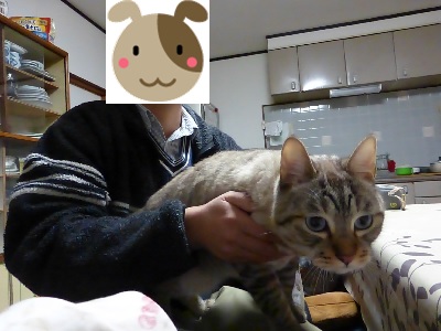 ロク87