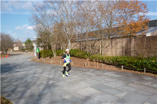 P1040515.png