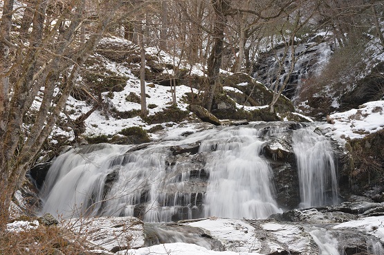 2015.2.14  taki taki 040.JPG