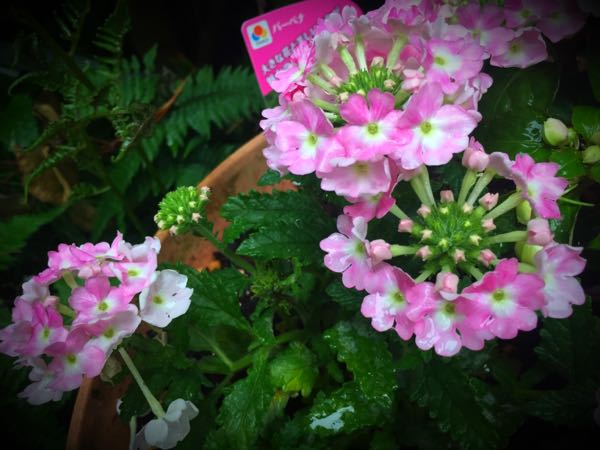 rblog-20160530192214-03.jpg