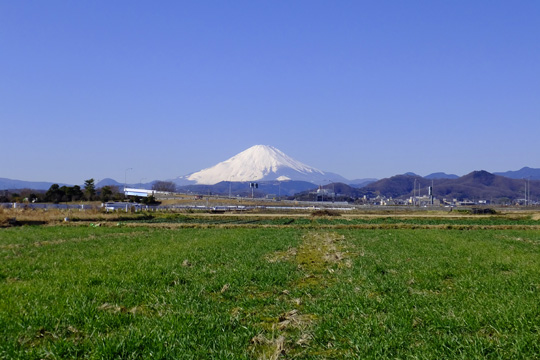 DSCF6342.jpg
