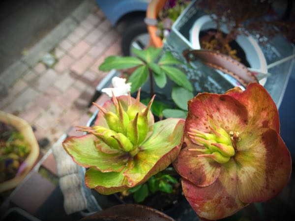 rblog-20150222132823-02.jpg
