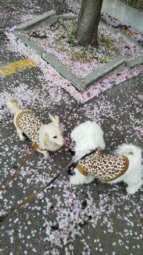 rblog-20180504103555-02.jpg