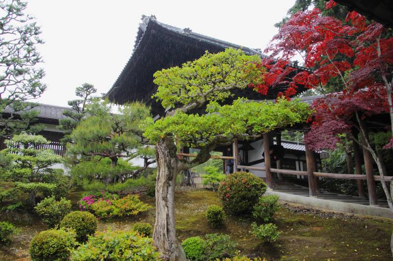 通天_005.jpg