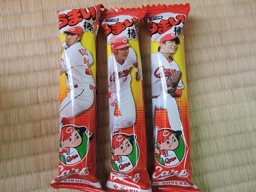 DSCN33981.jpg