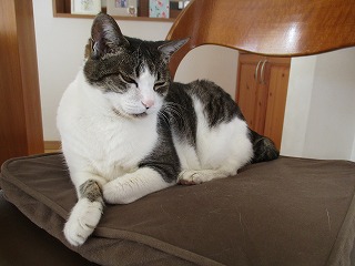IMG_7040ss.jpg