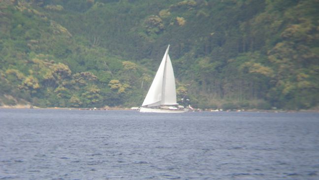 IMGP5982.jpg