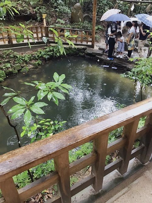 八重垣神社 二回目の鏡の池 なにわ一水のだんだんブログ 楽天ブログ